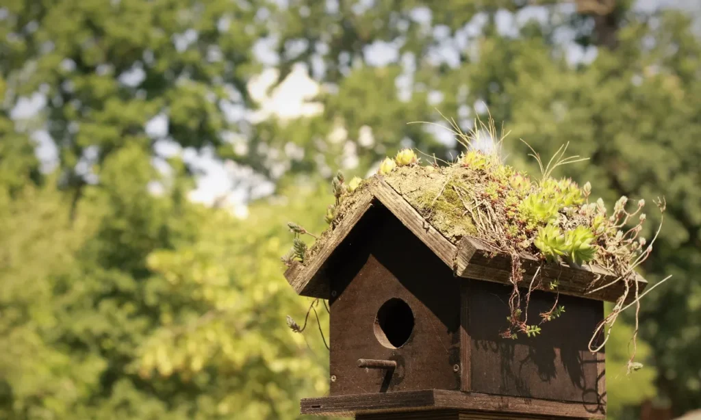 Wooden Craft for Bird House